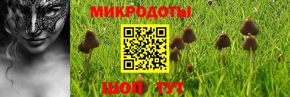 Галлюциногенные грибы ЛСД Гусь-Хрустальный