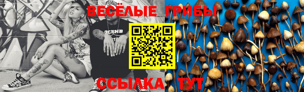 Гусь-Хрустальный  Галлюциногенные грибы Psilocybine cubensis  купить наркоту  Вход с VPN 